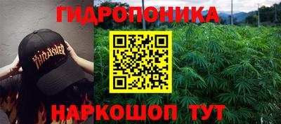 ГАЛЛЮЦИНОГЕННЫЕ ГРИБЫ Донецк