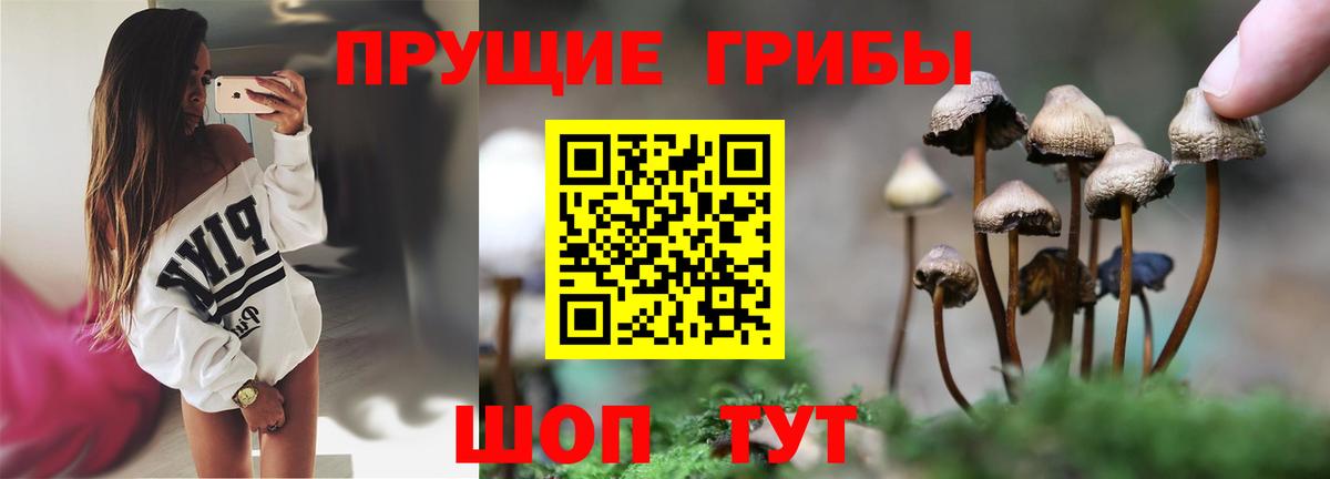 Галлюциногенные грибы GOLDEN TEACHER Назрань